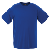 Barron 135g Polyester T-shirt Royal