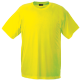 Barron 135g Polyester T-shirt Safety Yellow