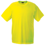 Barron 135g Polyester T-shirt Safety Yellow