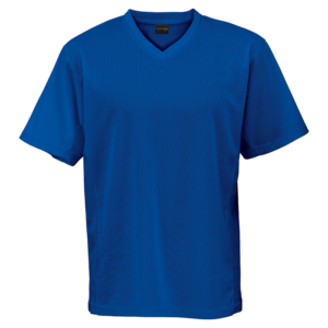 Barron Alpha V-neck T-shirt Royal