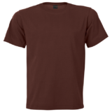 160g Crew Neck Barron T-shirt Brown