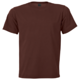 160g Crew Neck Barron T-shirt Brown