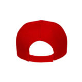 Americano Cap back