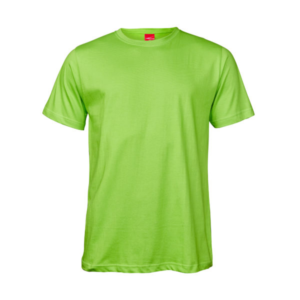 165g Classic t-shirt Lime